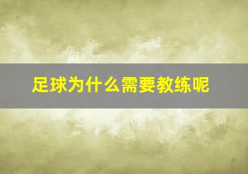 足球为什么需要教练呢