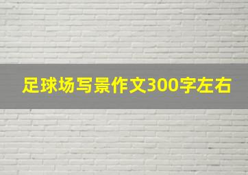 足球场写景作文300字左右