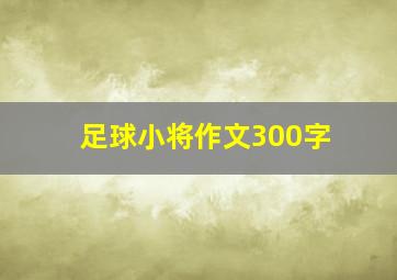 足球小将作文300字