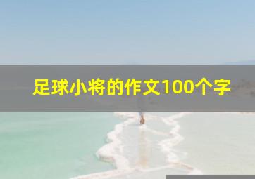 足球小将的作文100个字