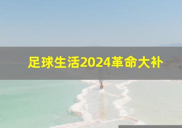 足球生活2024革命大补