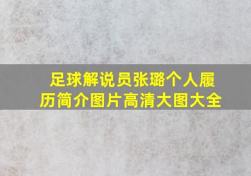 足球解说员张璐个人履历简介图片高清大图大全