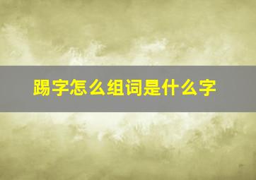 踢字怎么组词是什么字