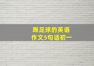 踢足球的英语作文5句话初一