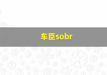 车臣sobr