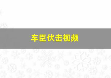 车臣伏击视频