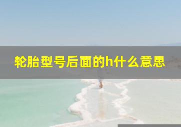 轮胎型号后面的h什么意思