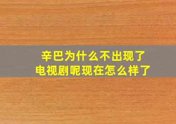 辛巴为什么不出现了电视剧呢现在怎么样了