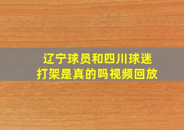 辽宁球员和四川球迷打架是真的吗视频回放