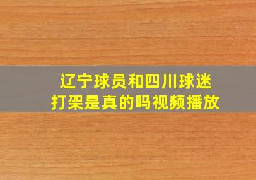 辽宁球员和四川球迷打架是真的吗视频播放