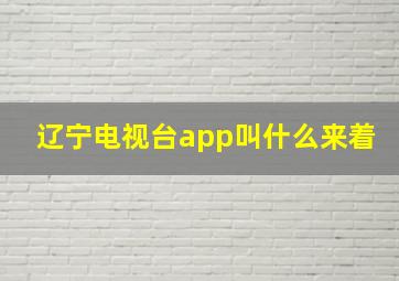 辽宁电视台app叫什么来着