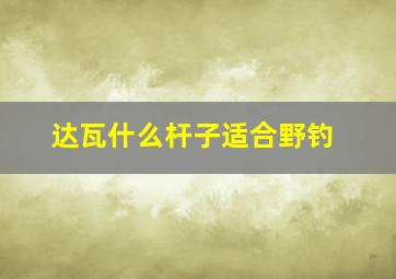 达瓦什么杆子适合野钓