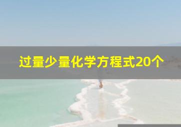 过量少量化学方程式20个