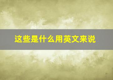 这些是什么用英文来说