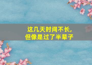 这几天时间不长,但像是过了半辈子