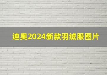 迪奥2024新款羽绒服图片