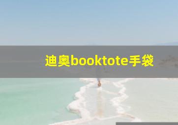 迪奥booktote手袋