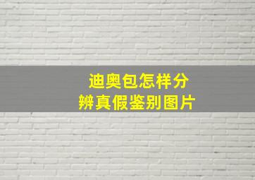 迪奥包怎样分辨真假鉴别图片