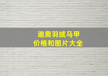 迪奥羽绒马甲价格和图片大全