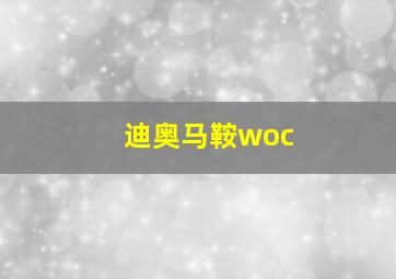 迪奥马鞍woc