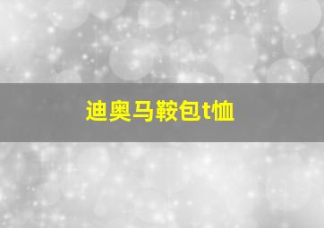 迪奥马鞍包t恤