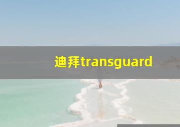 迪拜transguard