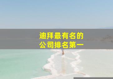 迪拜最有名的公司排名第一