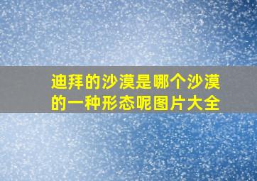 迪拜的沙漠是哪个沙漠的一种形态呢图片大全