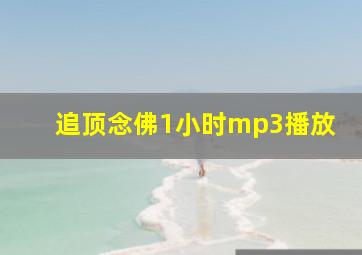 追顶念佛1小时mp3播放