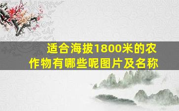 适合海拔1800米的农作物有哪些呢图片及名称