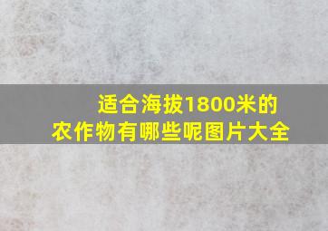 适合海拔1800米的农作物有哪些呢图片大全