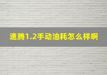 速腾1.2手动油耗怎么样啊