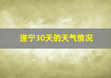 遂宁30天的天气情况