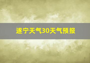 遂宁天气30天气预报