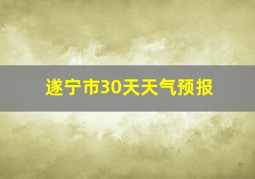 遂宁市30天天气预报