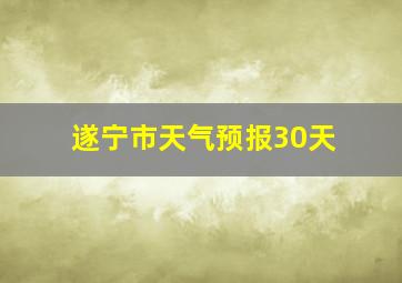 遂宁市天气预报30天