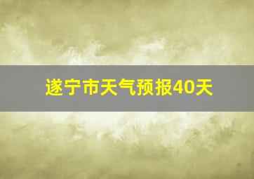 遂宁市天气预报40天