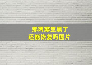 那两瓣变黑了还能恢复吗图片