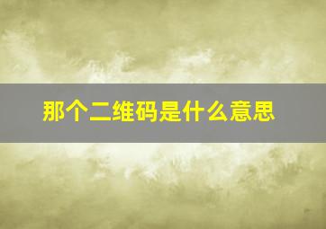 那个二维码是什么意思