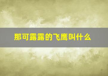 那可露露的飞鹰叫什么