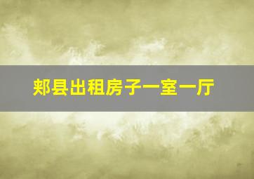 郏县出租房子一室一厅