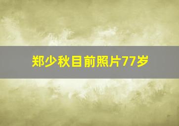 郑少秋目前照片77岁