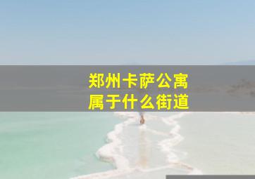 郑州卡萨公寓属于什么街道