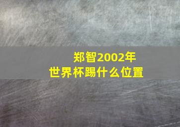 郑智2002年世界杯踢什么位置