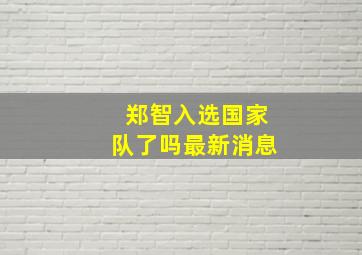 郑智入选国家队了吗最新消息