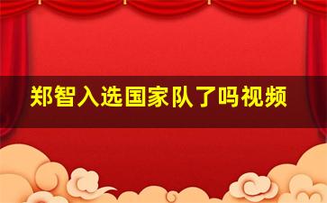 郑智入选国家队了吗视频