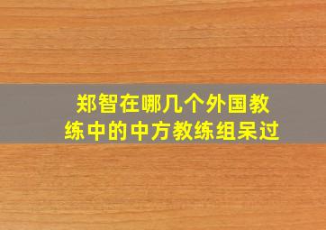 郑智在哪几个外国教练中的中方教练组呆过