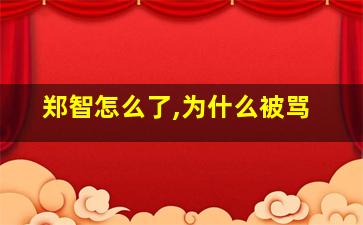 郑智怎么了,为什么被骂