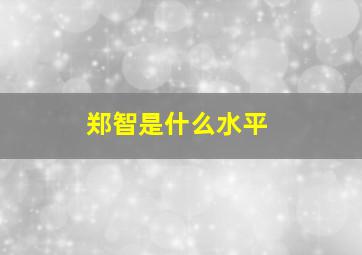 郑智是什么水平