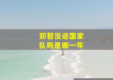 郑智没进国家队吗是哪一年